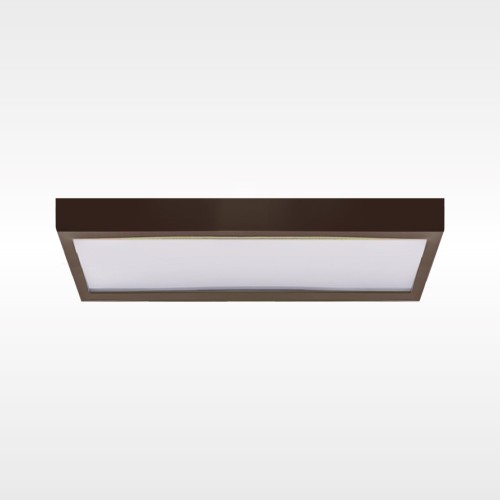 Потолочный светильник Baruss Square BS555/CR650x380